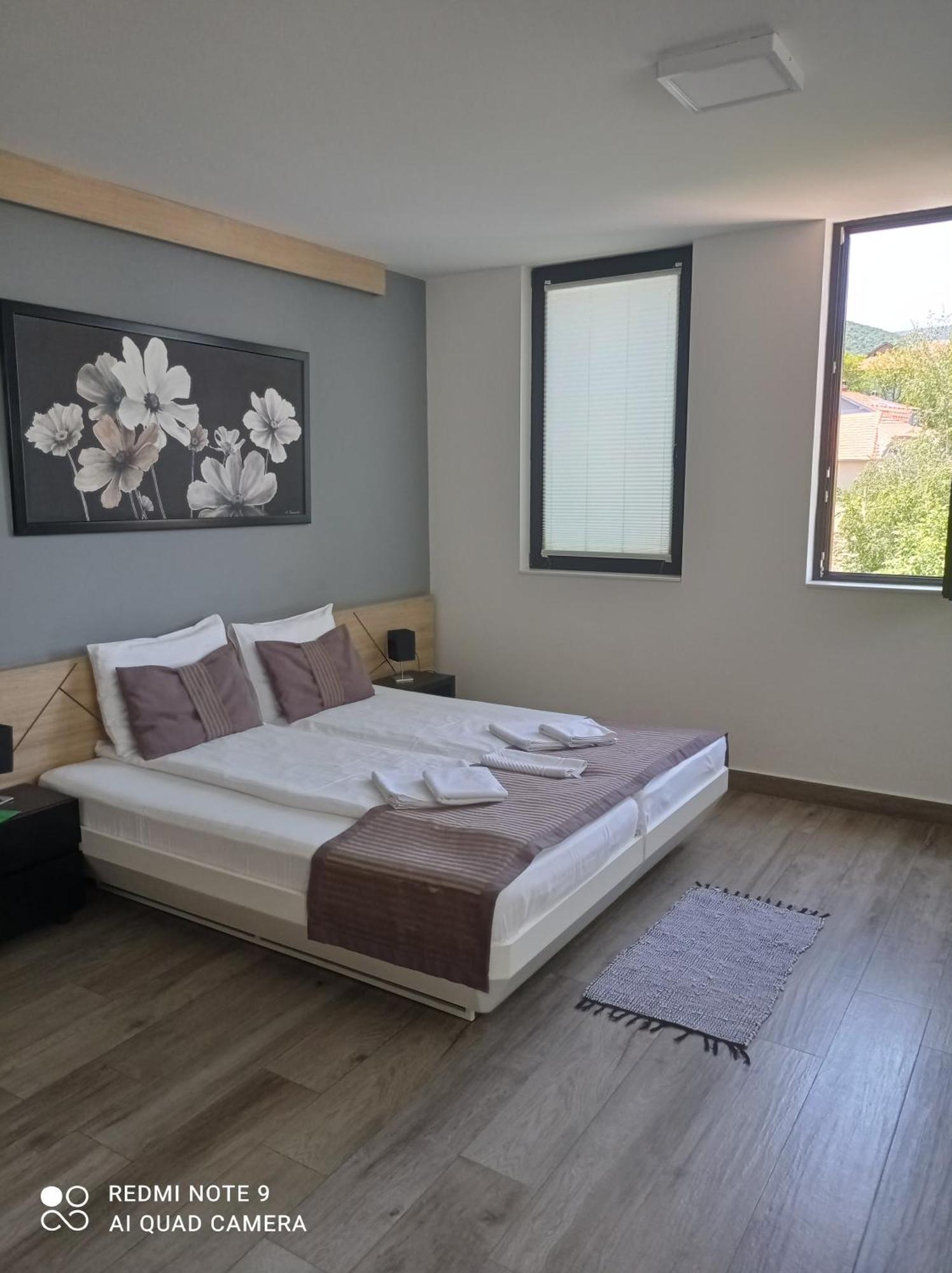 B&B Nataly 2 Sokobanja Eksteriør billede